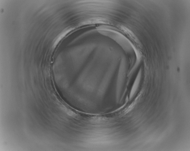 X0000075901081200610062112