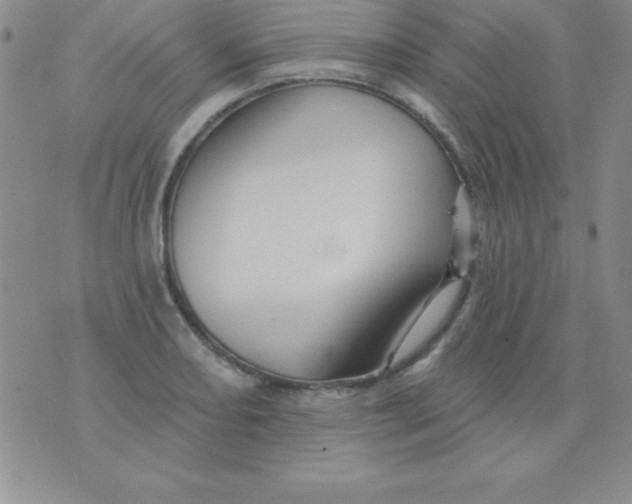 X0000075901082200610062112