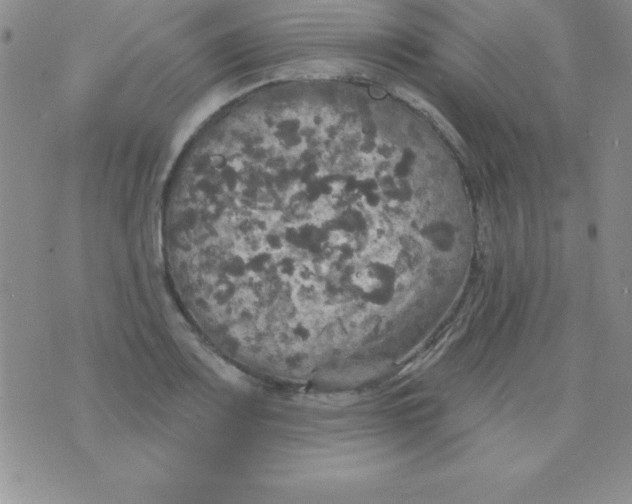 X0000075901083200610062112