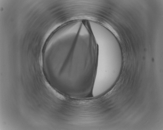 X0000075901084200610062112