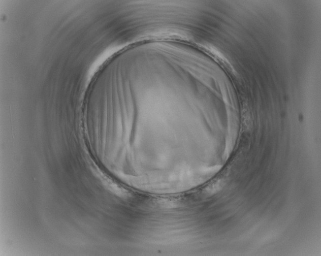 X0000075901086200610062112