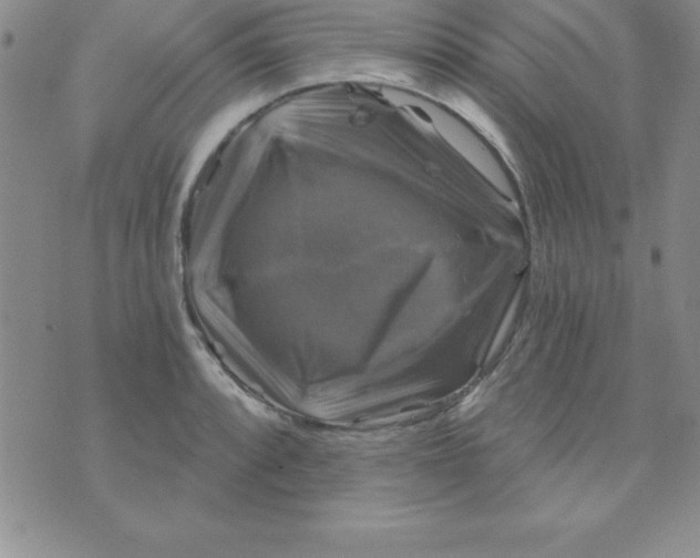 X0000075901088200610062112