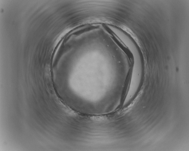 X0000075901089200610062112