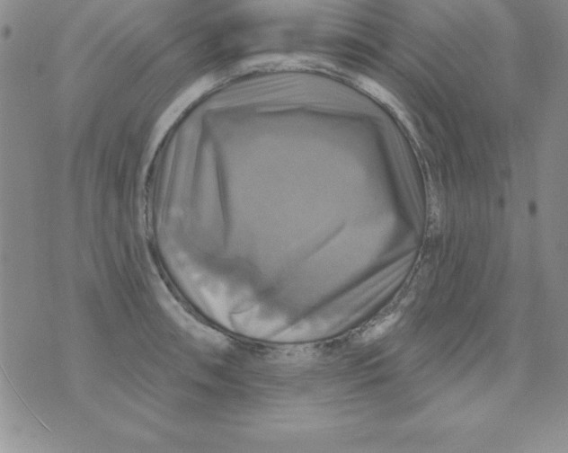 X0000075901090200610062112