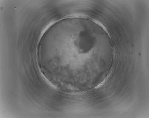 X0000075901091200610062112