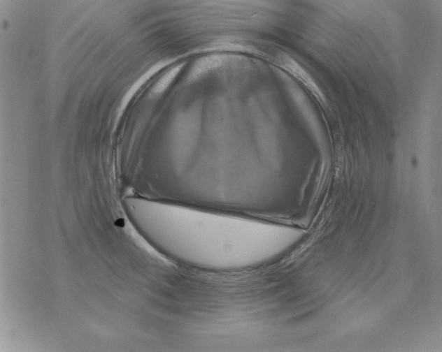 X0000075901092200610062112