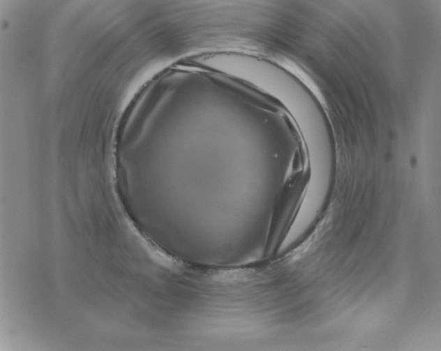 X0000075901093200610062112