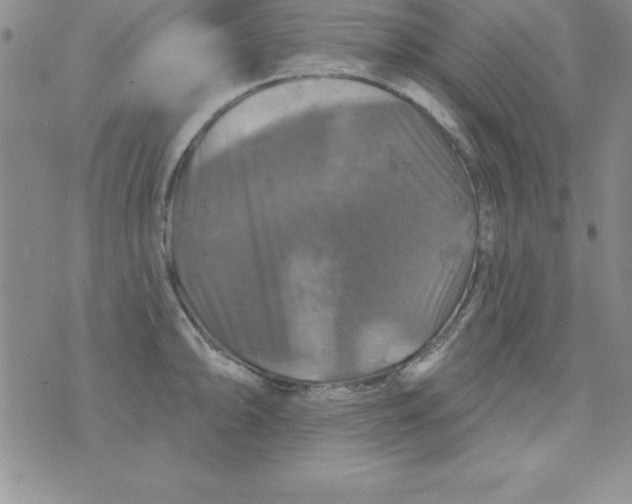 X0000075901094200610062111