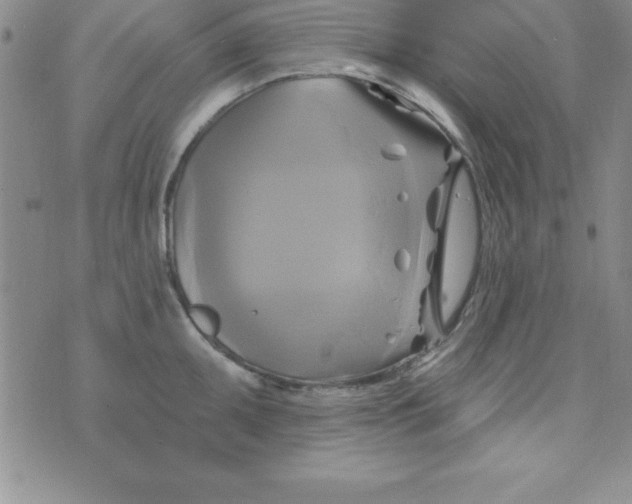 X0000075901095200610062111