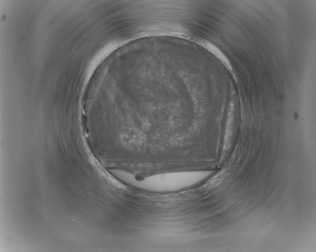 X0000075901096200610062111