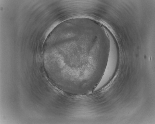 X0000075901097200610062111