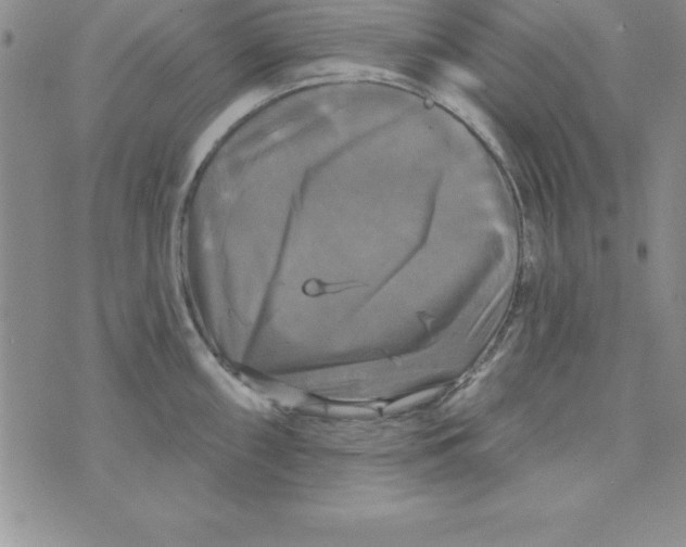 X0000075901098200610062111