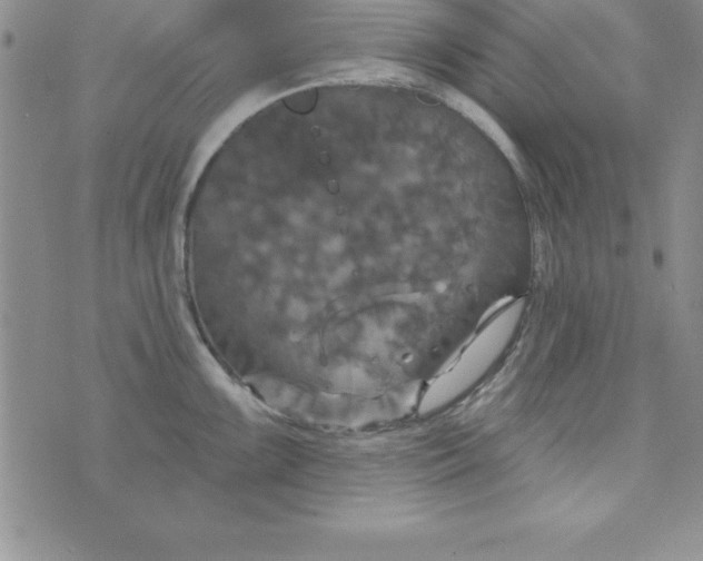 X0000075901099200610062111