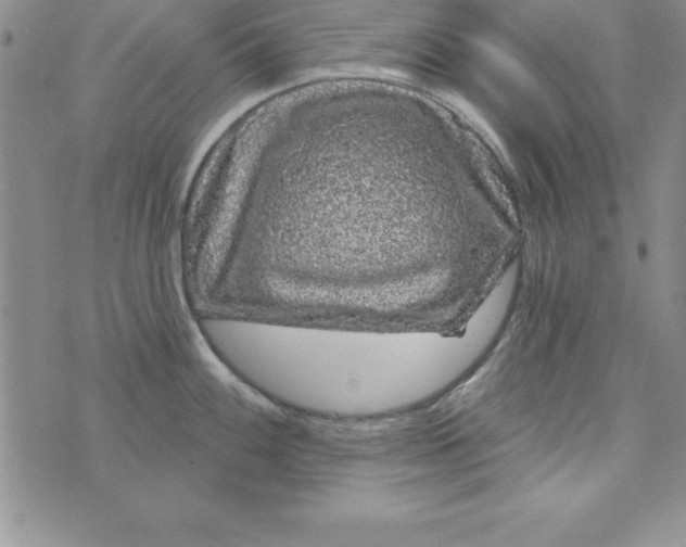 X0000075901100200610062111