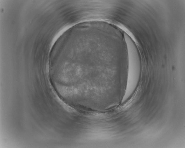 X0000075901101200610062111