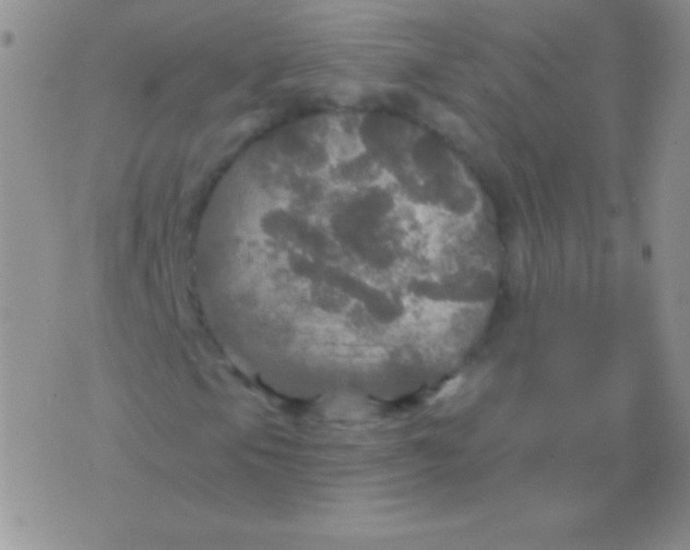 X0000075901105200610062111