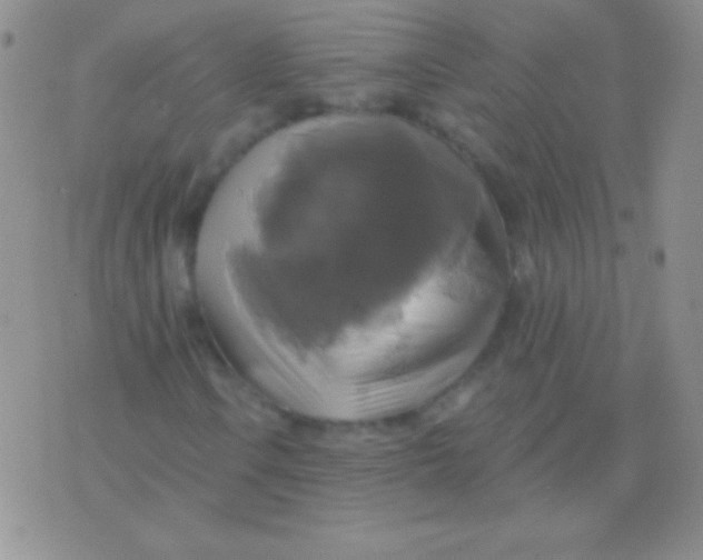 X0000075901106200610062111