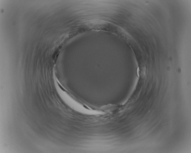 X0000075901108200610062111