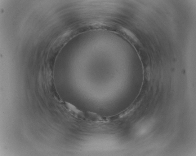 X0000075901111200610062111