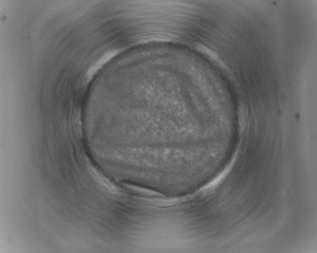 X0000075901113200610062111