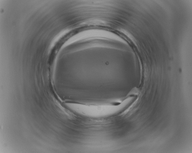 X0000075901115200610062111