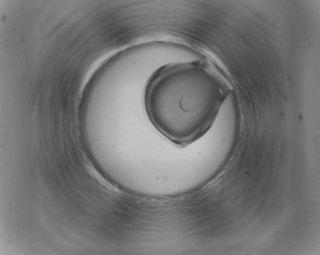 X0000075901116200610062111