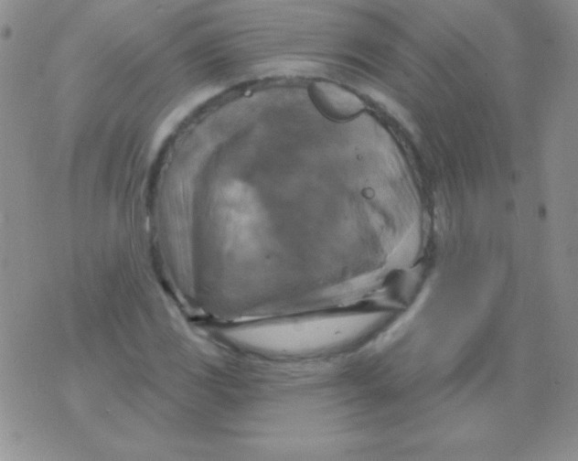 X0000075901117200610062111