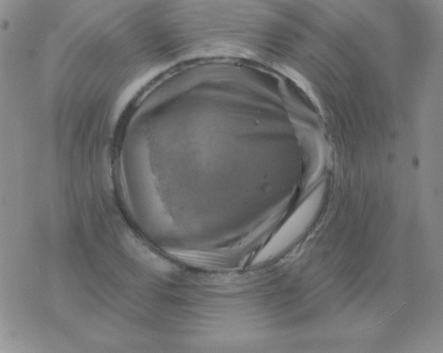 X0000075901120200610062111