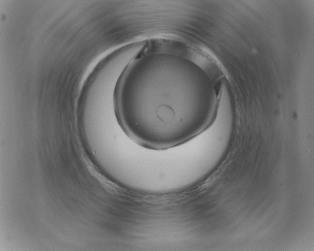 X0000075901124200610062111