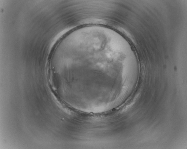 X0000075901125200610062111