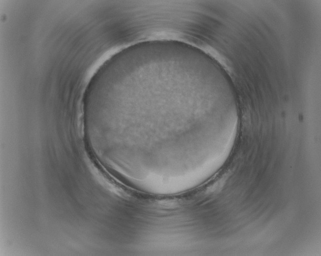 X0000075901126200610062111