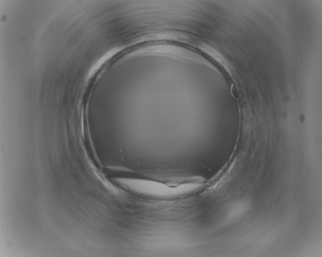 X0000075901127200610062111