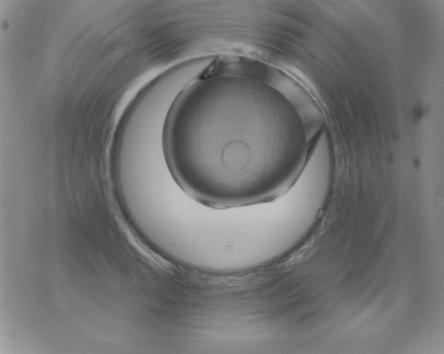 X0000075901128200610062111