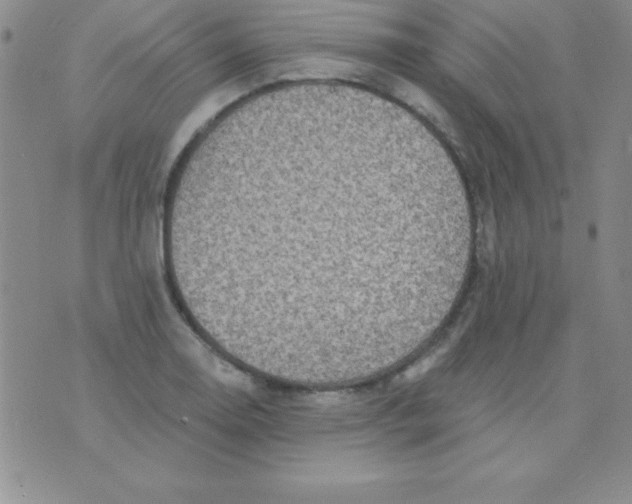 X0000075901130200610062111