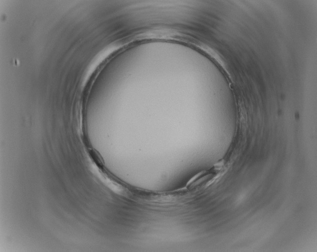 X0000075901131200610062111