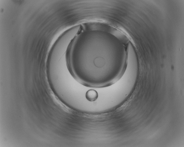 X0000075901132200610062111