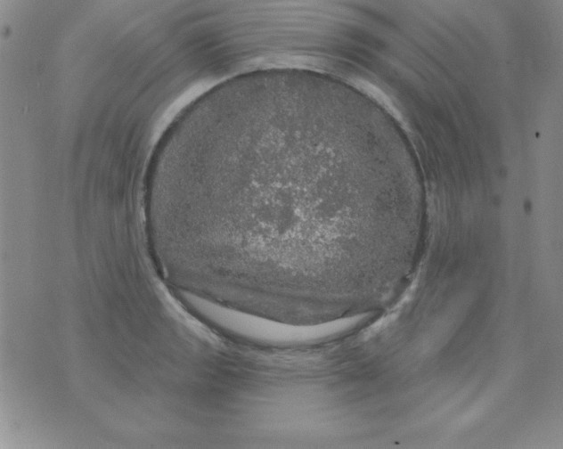 X0000075901133200610062111