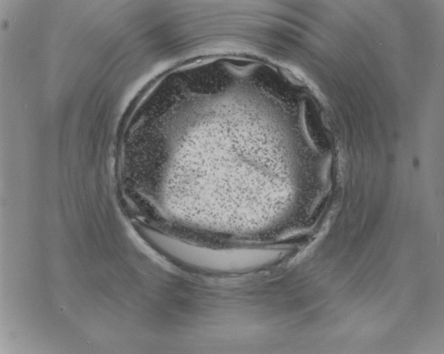 X0000075901134200610062111