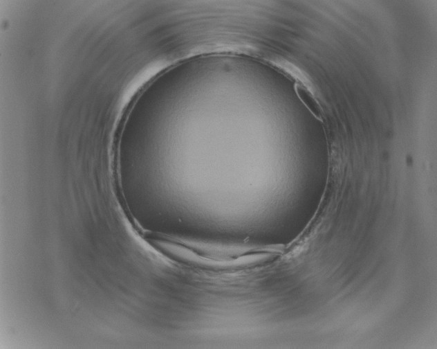 X0000075901135200610062111