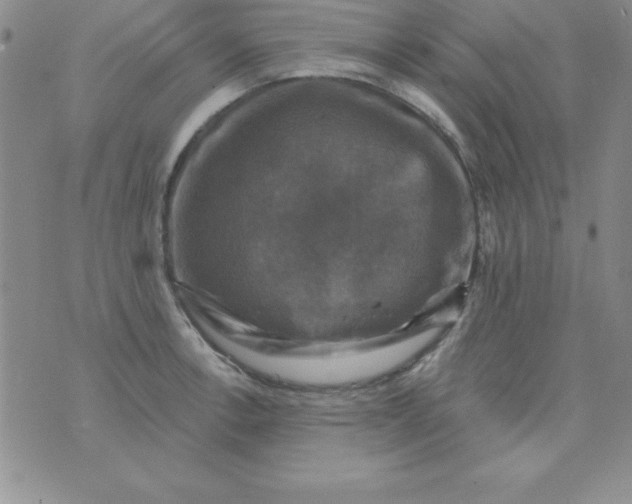 X0000075901138200610062111