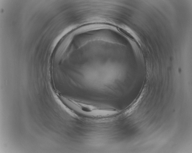 X0000075901142200610062111