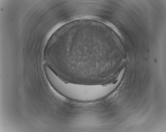 X0000075901143200610062111