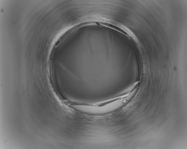 X0000075901144200610062111