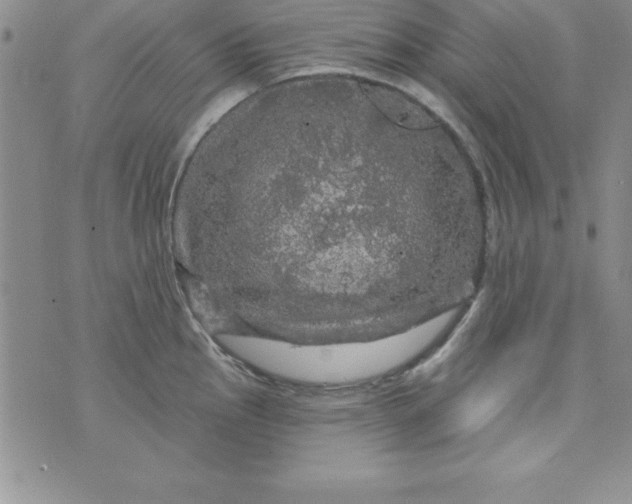 X0000075901145200610062111