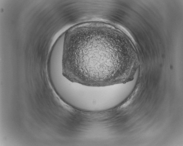 X0000075901149200610062111