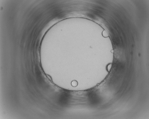 X0000075901150200610062111