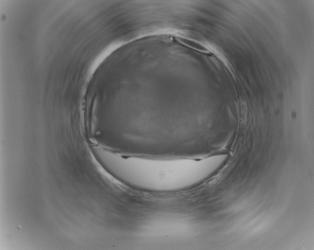 X0000075901151200610062111