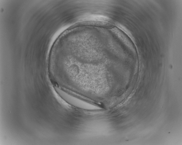 X0000075901152200610062111