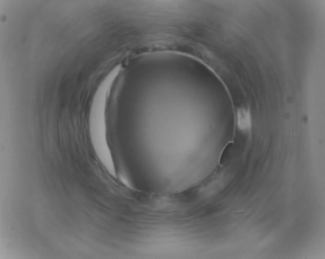 X0000075901155200610062111