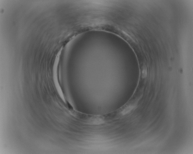 X0000075901156200610062110